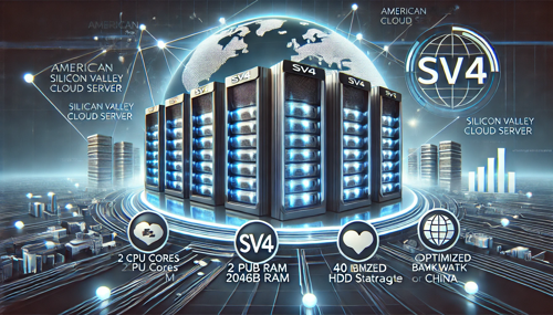 使用VPS台湾 SS服务实现安全上网的技巧